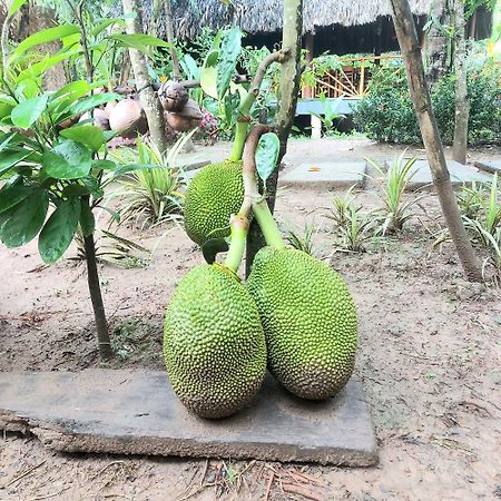 Homestay Nam Ham Luong 벤째 외부 사진