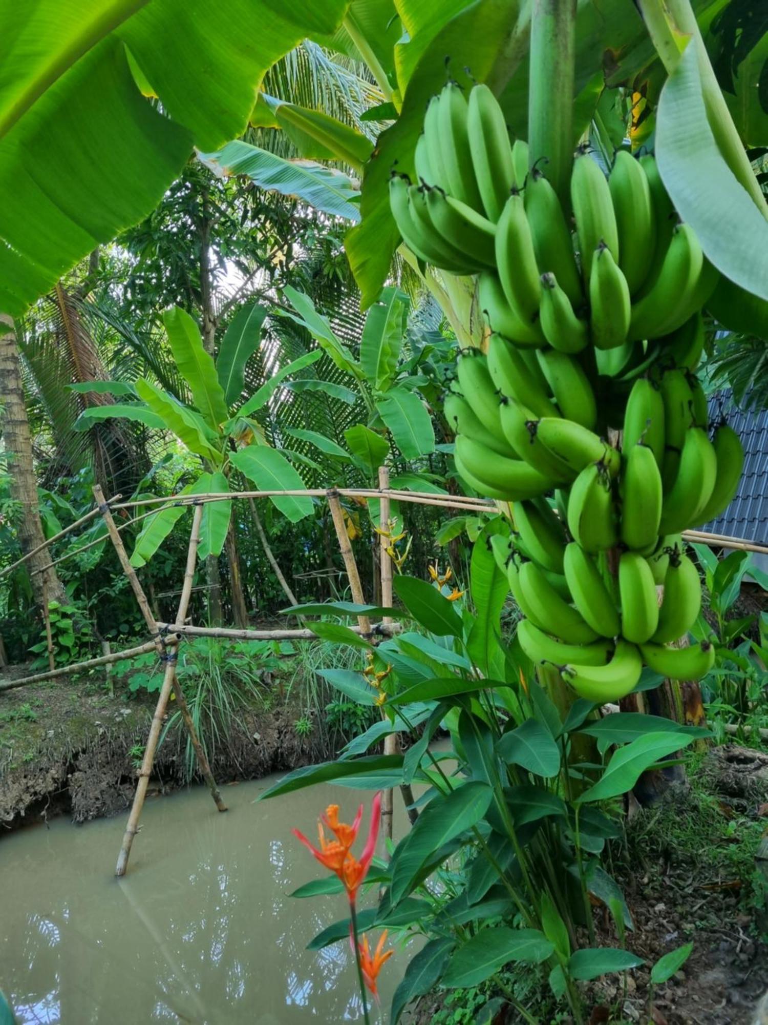 Homestay Nam Ham Luong 벤째 외부 사진