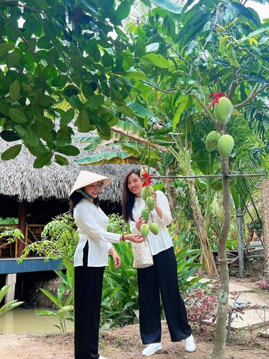 Homestay Nam Ham Luong 벤째 외부 사진