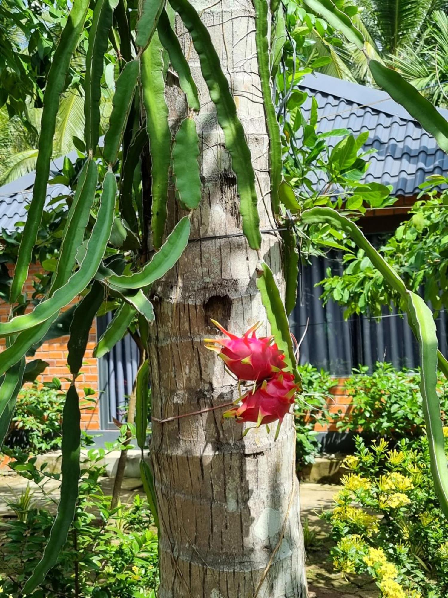 Homestay Nam Ham Luong 벤째 외부 사진